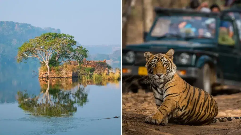 Distance from Ghaziabad to Ranthambore