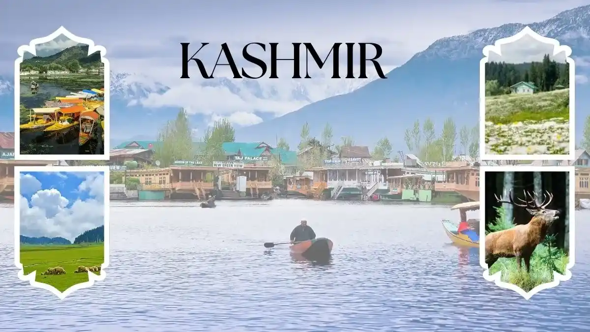 Kashmir