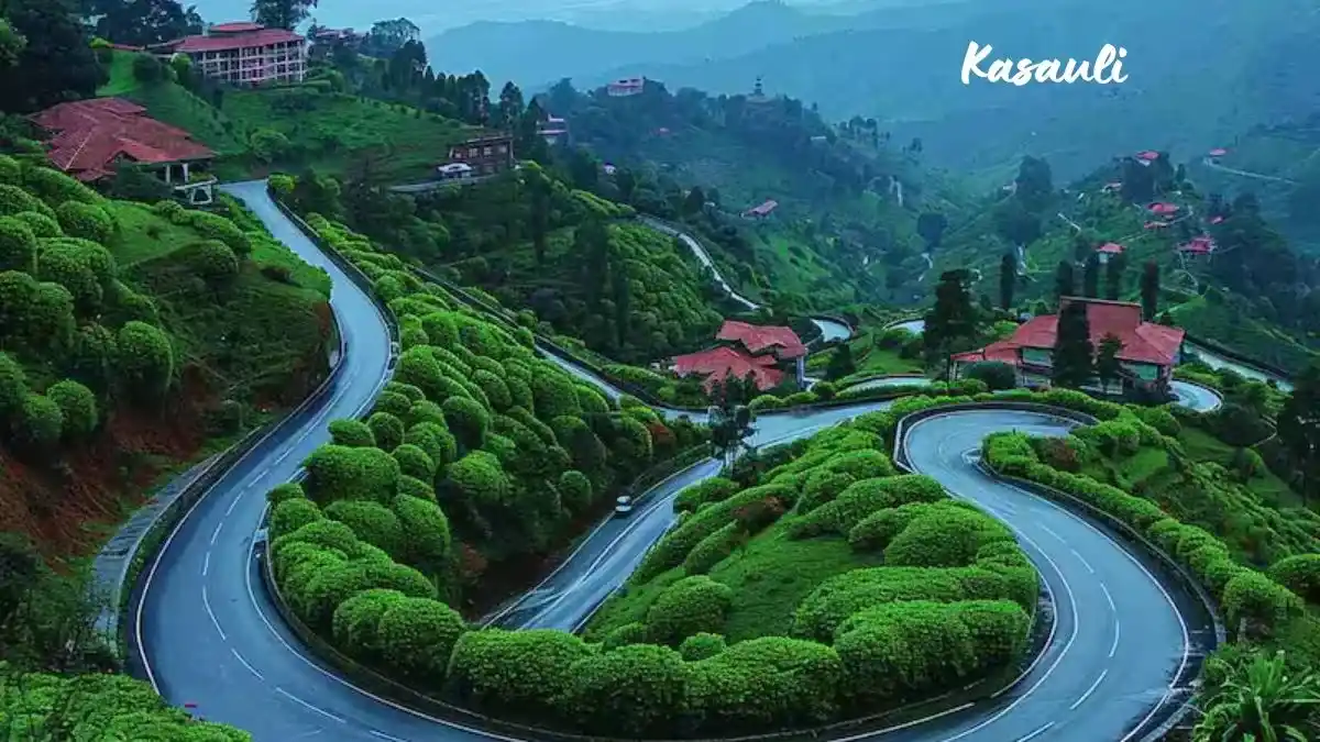 Kasauli